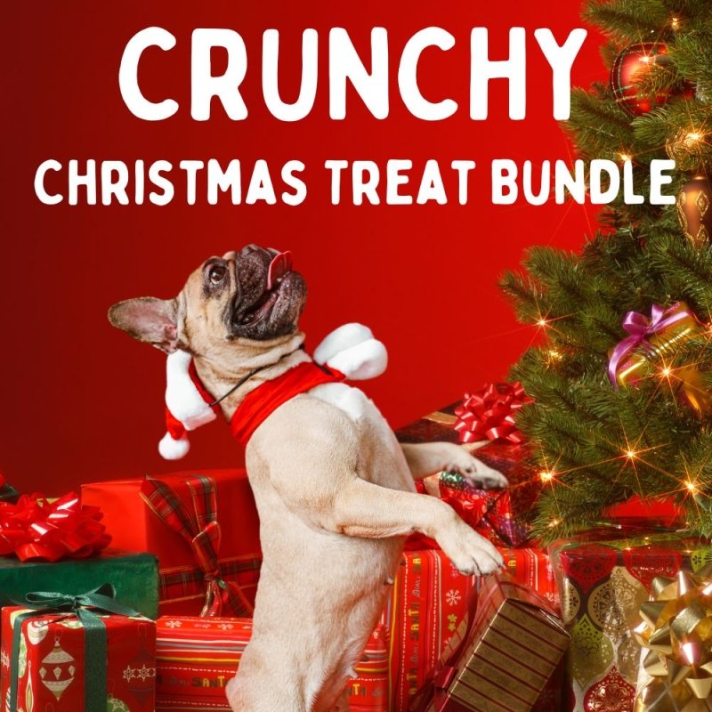 Crunchy Christmas Treat Bundle 🎅🐶🎅 20% Off Normal Price!
