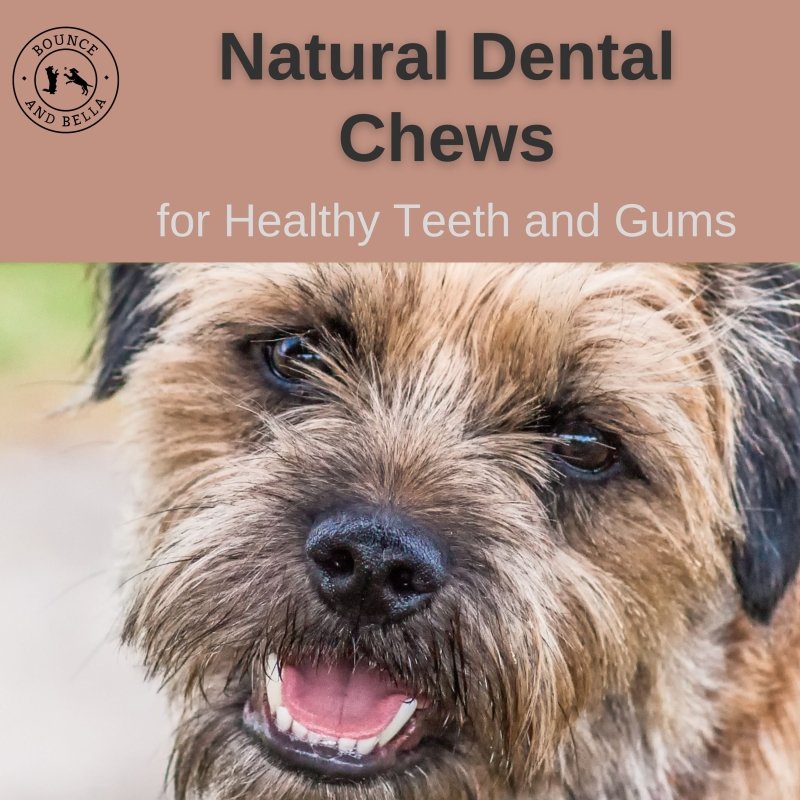 Natural Rabbit Ears with Hair, rich in collagen & natural dewormers