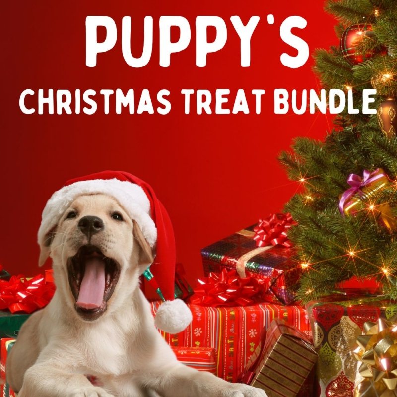 Puppy's First Christmas Collection 🎅🐶🎅 20% Off Normal Price!