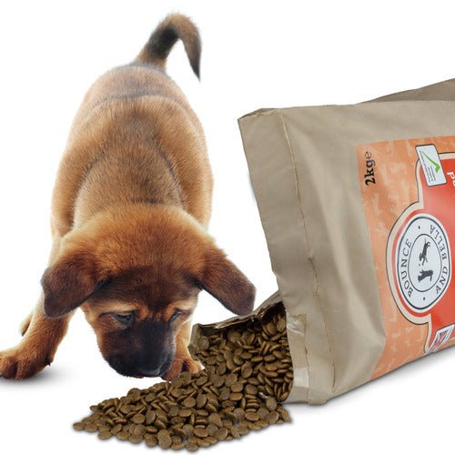 Chicken Puppy Food With Turkey Salmon Bounce and Bella