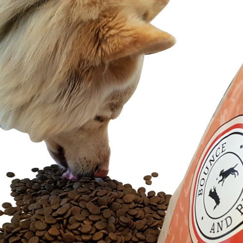Steam Cooked Salmon & Trout with Veg - ADULT - Complete Grain Free Dog Food (2kg to 15kg)