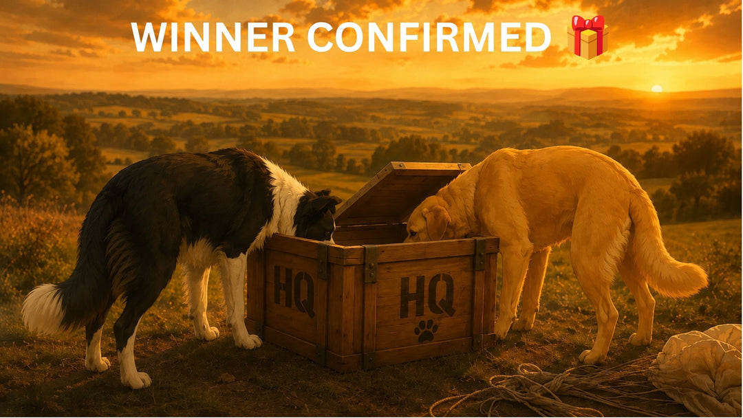 🎉 HQ Winner Confirmed from Weds 19/8/26 2026