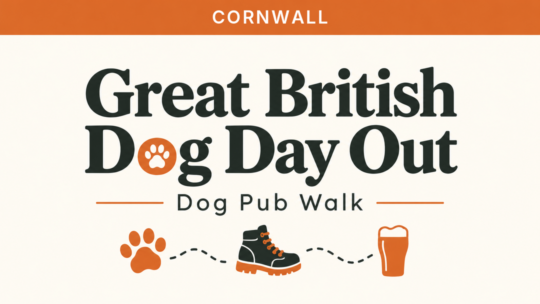 Cornwall | Great British Dog Day Out | Dog Pub Walk