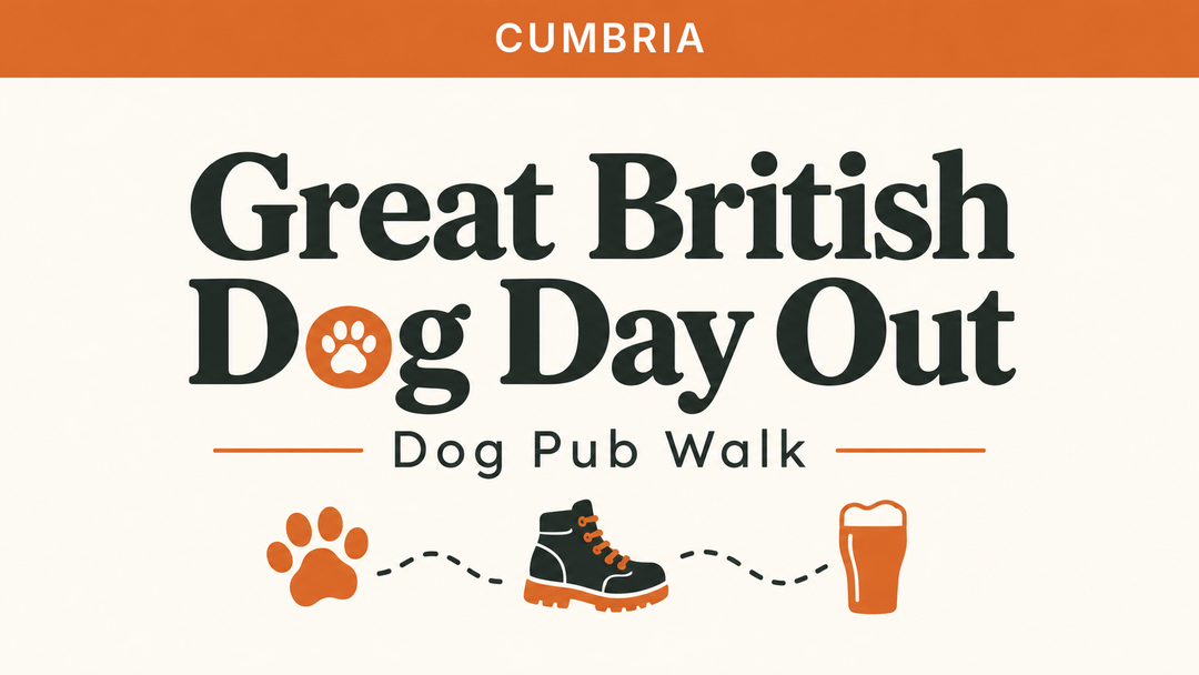 Cumbria | Great British Dog Day Out | Dog Pub Walk
