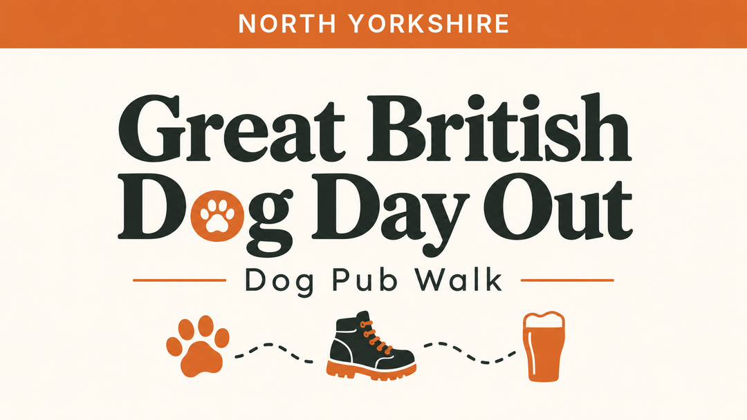 North Yorkshire | Great British Dog Day Out | Dog Pub Walk