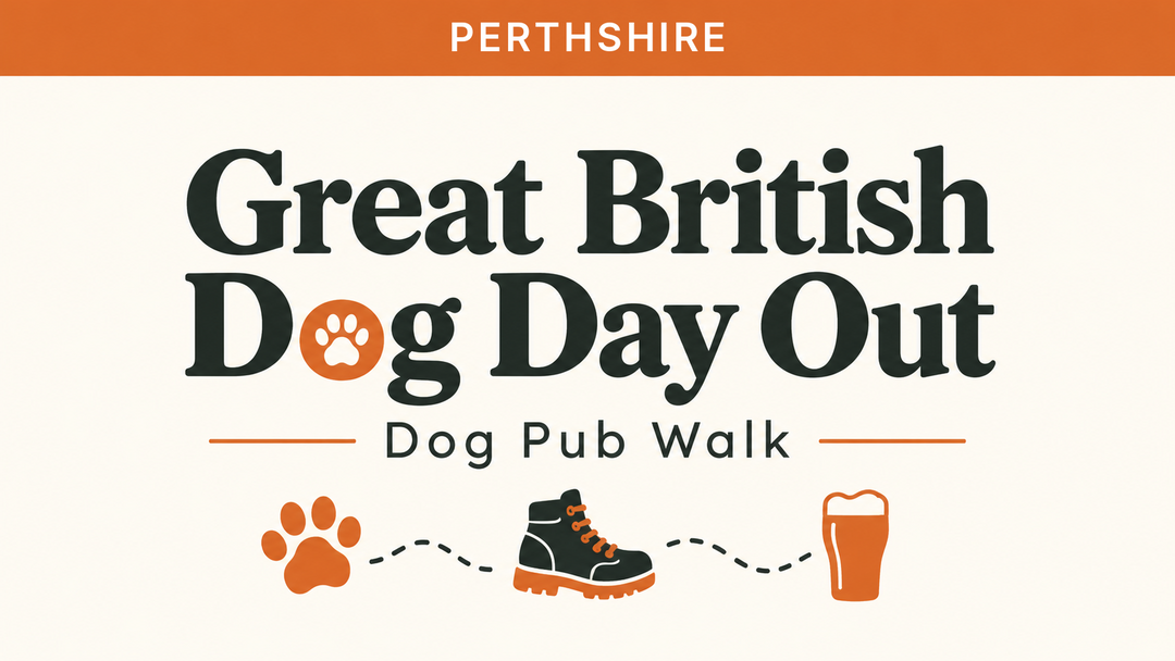 Perthshire | Great British Dog Day Out | Dog Pub Walk