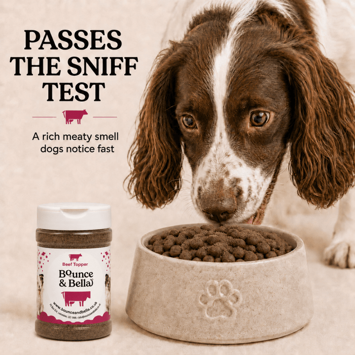 100% Beef Food Topper for Dogs (160g)