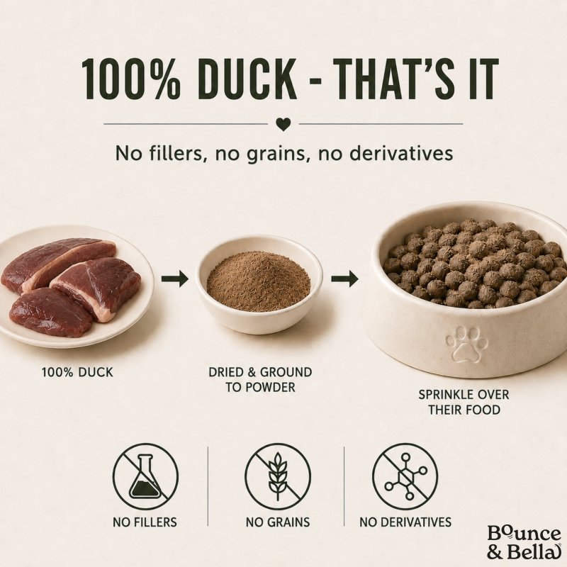 100% Duck Food Topper for Dogs (160g)