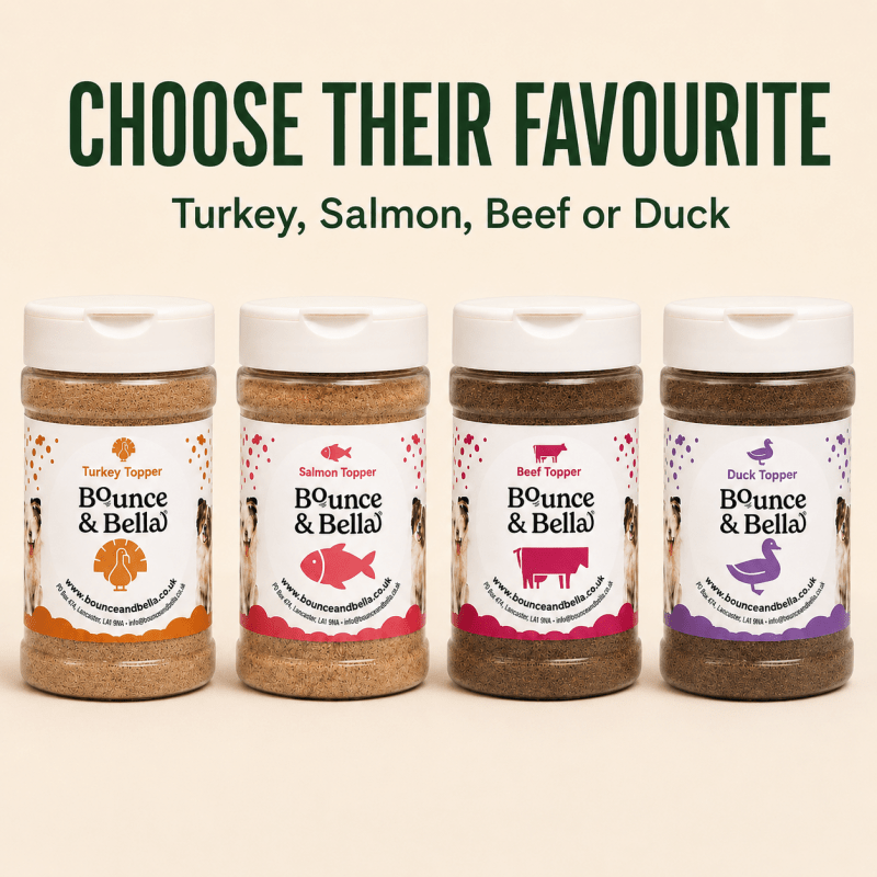 100% Salmon Food Topper for Dogs (160g)