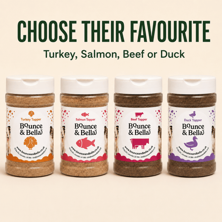 100% Salmon Food Topper for Dogs (160g)