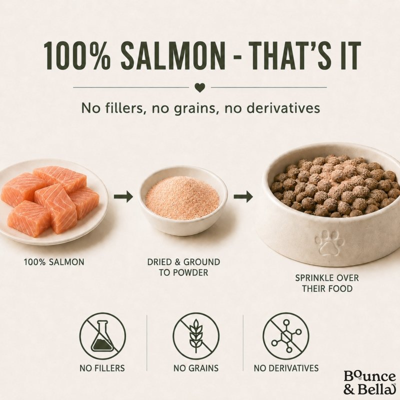100% Salmon Food Topper for Dogs (160g)