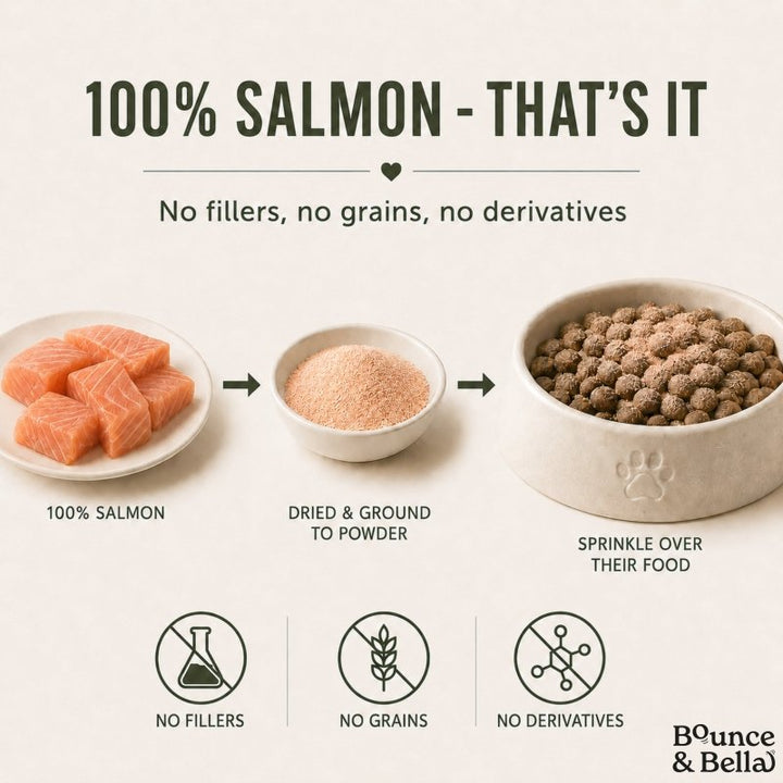 100% Salmon Food Topper for Dogs (160g)