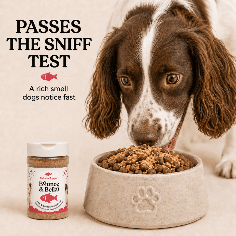 100% Salmon Food Topper for Dogs (160g)