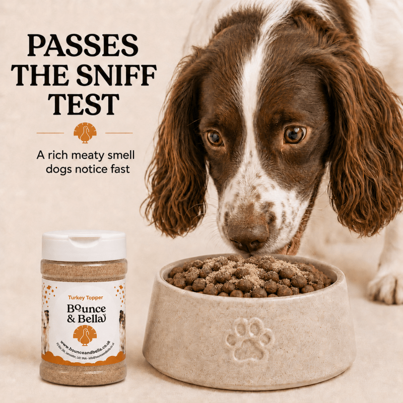 100% Turkey Food Topper for Dogs (160g)