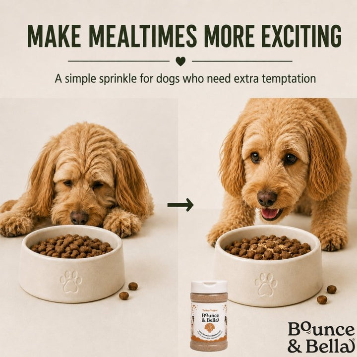 100% Turkey Food Topper for Dogs (160g)