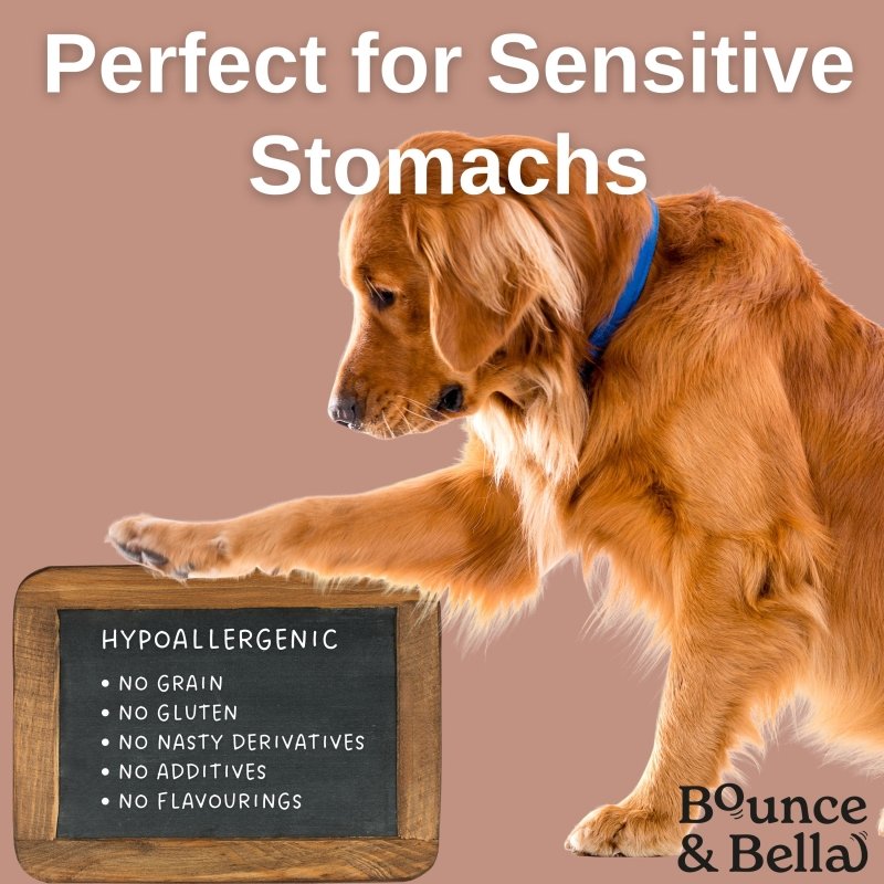 16 Packs of 500g for only £99.99 - Grain Free Ultimate Fish Treats for Dogs - Perfect for Pet Professionals