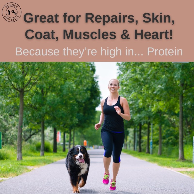 Great for Repairs, Skin, Coat, Muscles & Heart! Because they're high in Protein