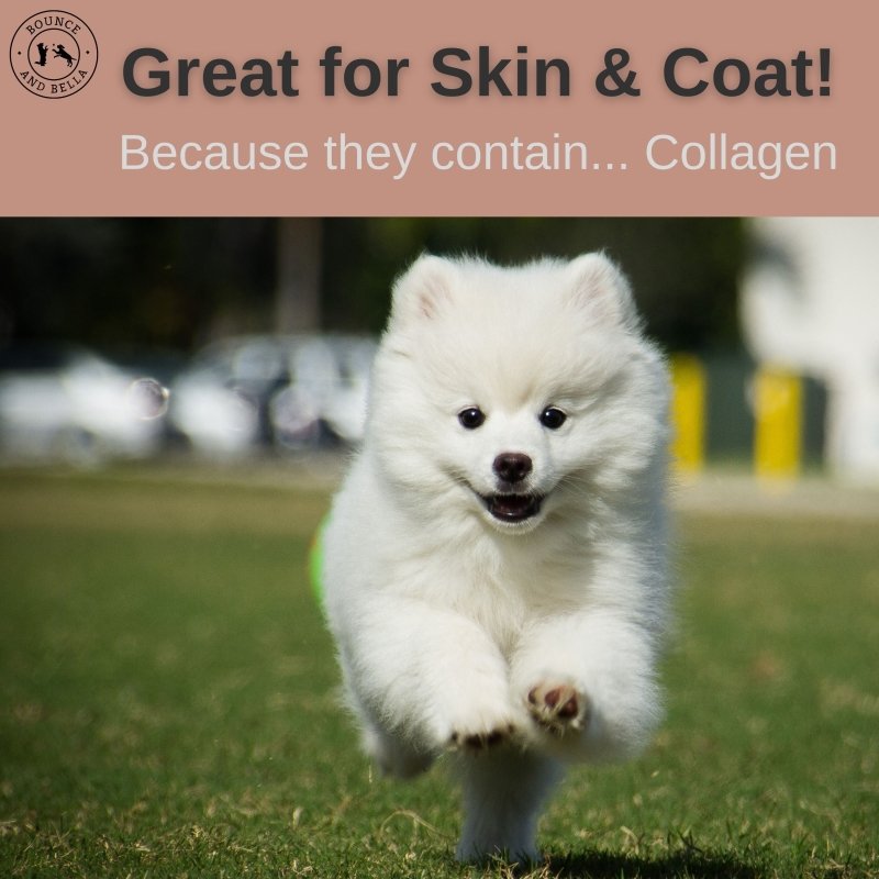  Great for Skin & Coat! Because they contain... lots of Collagen