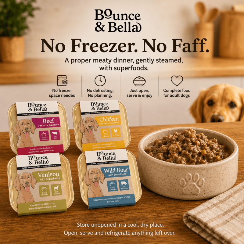Convenient Bounce &amp; Bella wet dog food trays served in a dog bowl
