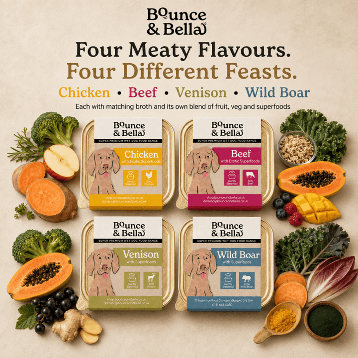Bounce &amp; Bella wet dog food trays in Chicken, Beef, Venison and Wild Boar