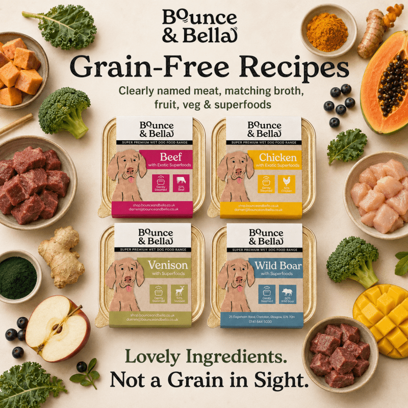 Grain-free mixed wet dog food trays with clearly named meat, fruit, veg and superfoods