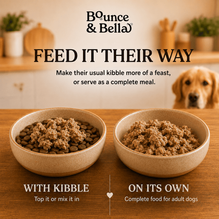 Bounce &amp; Bella wet dog food served with kibble or as a complete meal for adult dogs
