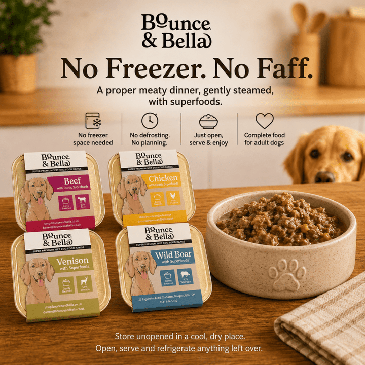 Bounce &amp; Bella wet dog food trays and bowl - complete adult dog food with easy ambient storage
