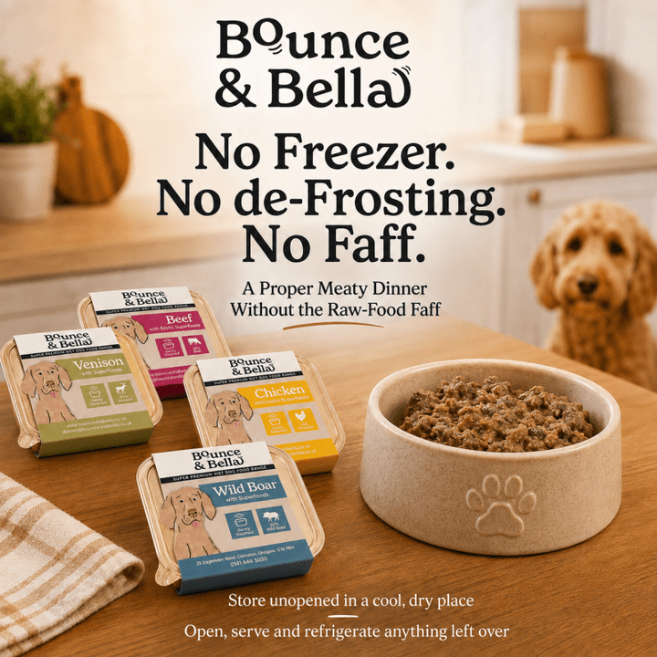 Bounce &amp; Bella wet dog food trays - no freezer or defrosting needed
