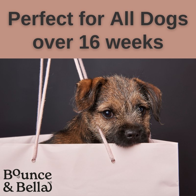 **Discounted Multipack** - 2 Packs of 500g for only £19.98 (save £4 on the normal price!) - Grain Free Ultimate Poultry Treats for Dogs