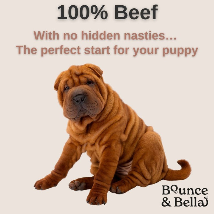**Discounted Multipack** - 5 Packs for only £32.95 (save £12 on the normal price) - Pure Beef Nibbles – Just One Ingredient
