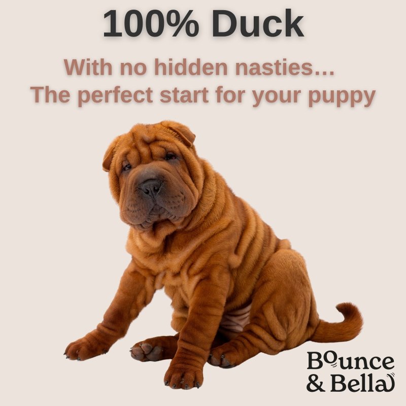 **Discounted Multipack** - 5 Packs for only £32.95 (save £12 on the normal price) - Pure Duck Nibbles – Just One Ingredient