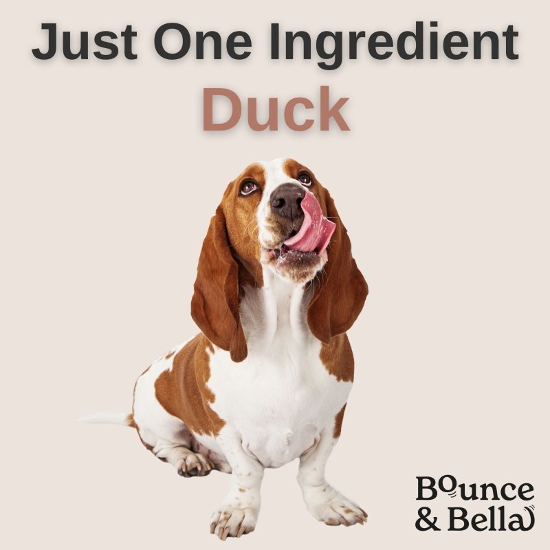**Discounted Multipack** - 5 Packs for only £32.95 (save £12 on the normal price) - Pure Duck Nibbles – Just One Ingredient