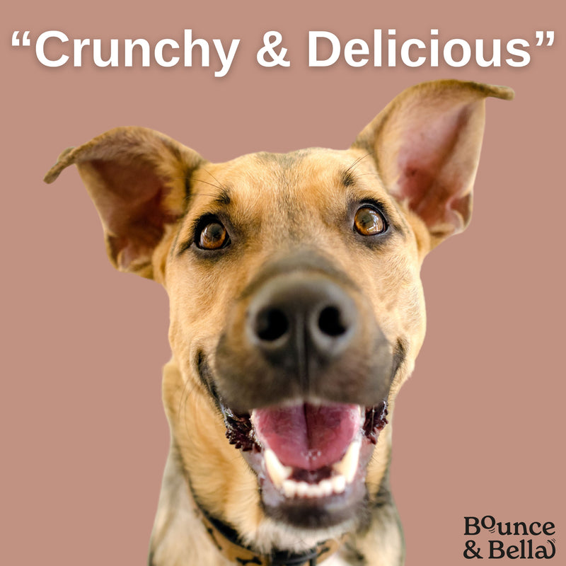 16 Packs of 500g for only £99.99 - Grain Free Ultimate Fish Treats for Dogs - Perfect for Pet Professionals