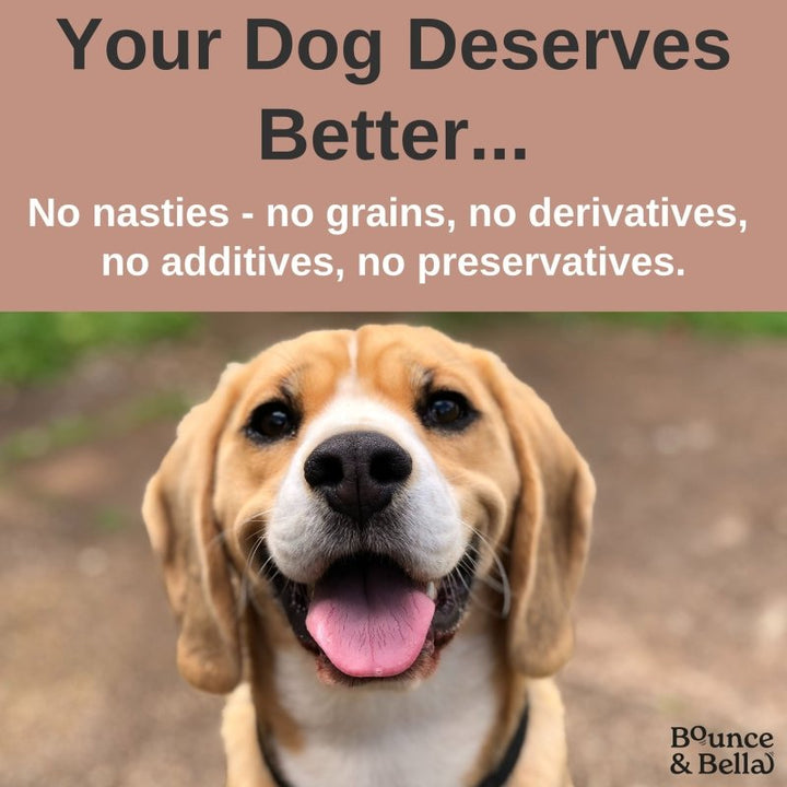 Fish Skin Snacks – Low Fat &amp; Natural Dog Dental Chews