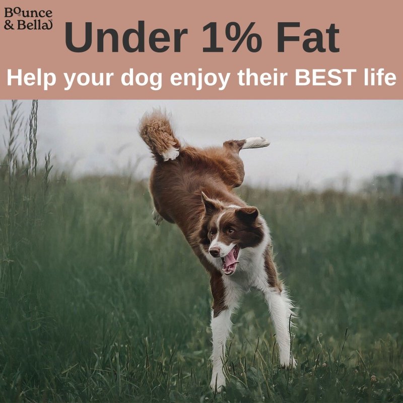 Fish Skin Snacks – Low Fat &amp; Natural Dog Dental Chews
