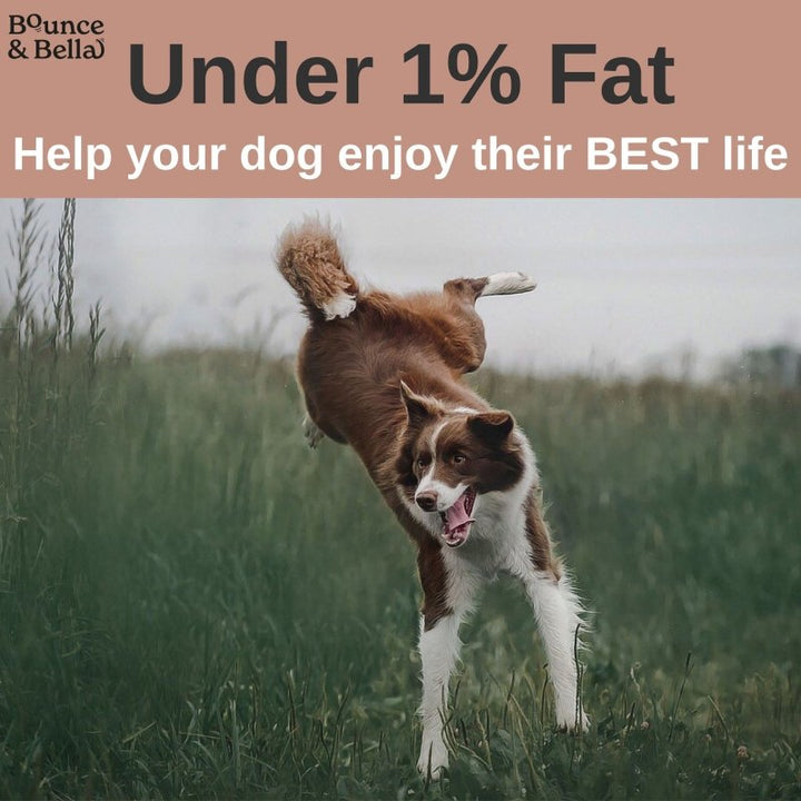 Fish Skin Snacks – Low Fat &amp; Natural Dog Dental Chews