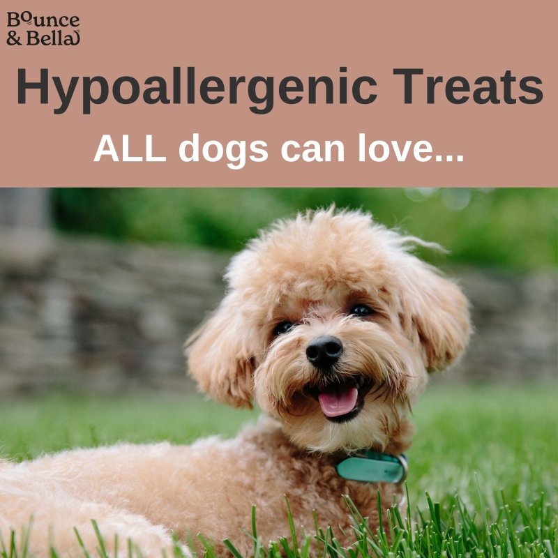 Fish Skin Snacks – Low Fat & Natural Dog Dental Chews