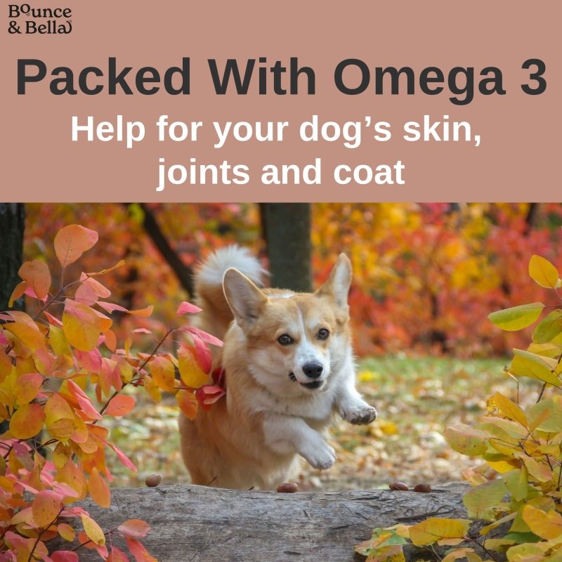 Fish Skin Snacks – Low Fat & Natural Dog Dental Chews