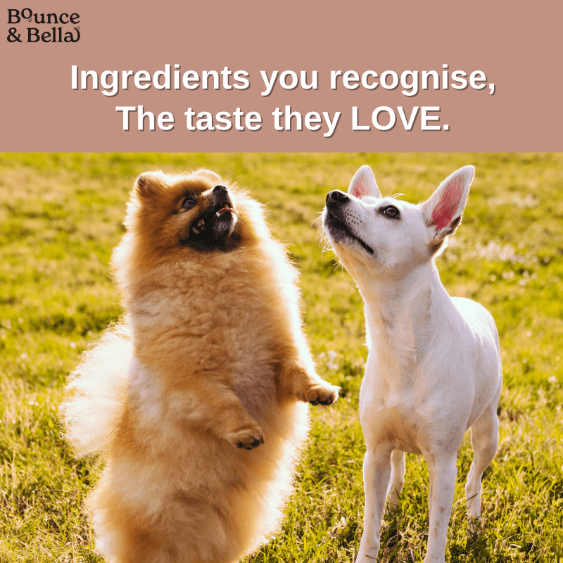 Gourmet Dog Sausages - Beef with Sweet Potato & Apple, 200g