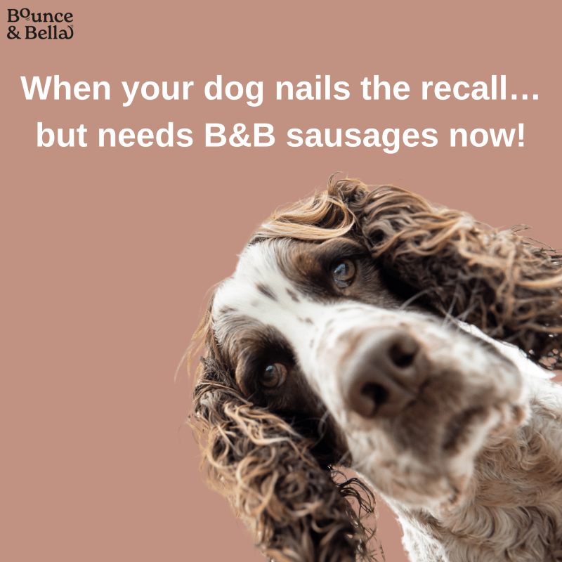 Gourmet Dog Sausages - Beef with Sweet Potato & Apple, 200g