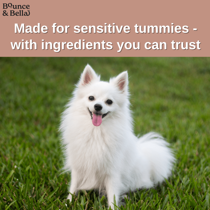 Gourmet Dog Sausages - Beef with Sweet Potato & Apple, 200g