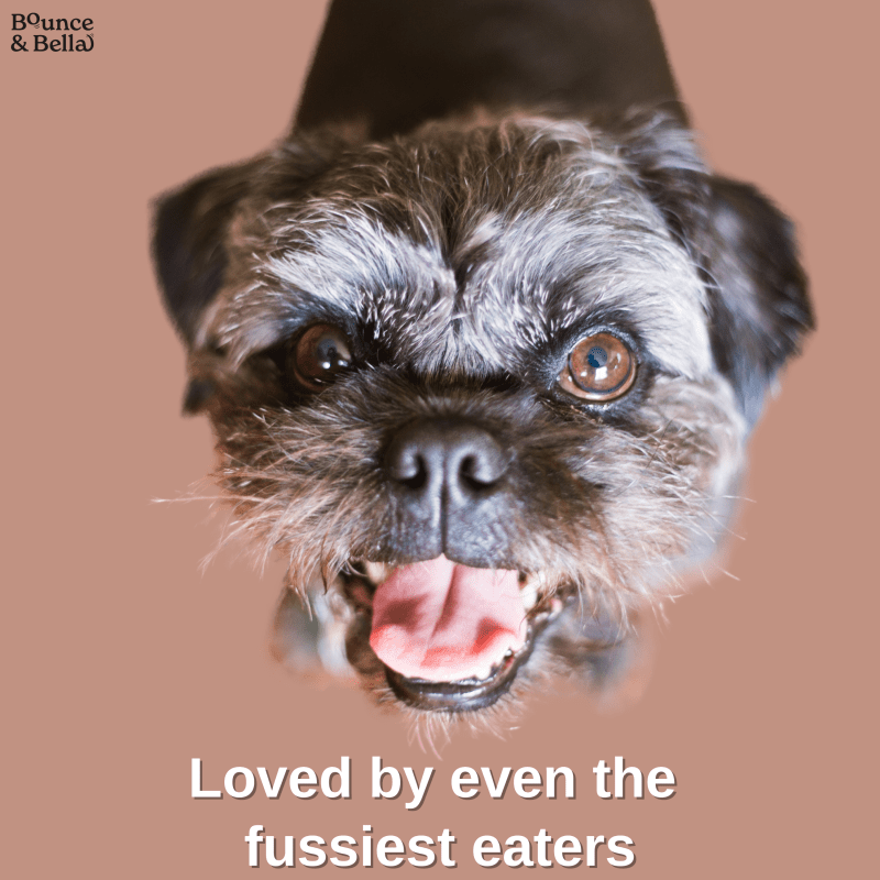 Gourmet Dog Sausages, Chicken with Pumpkin & Turmeric, 200g