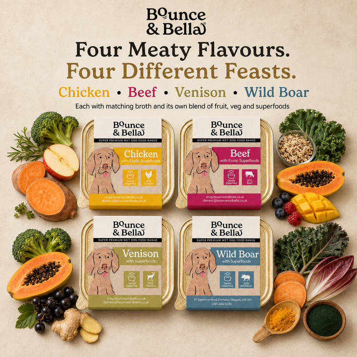 Chicken, Beef, Venison and Wild Boar wet dog food trays with fruit, veg and superfoods
