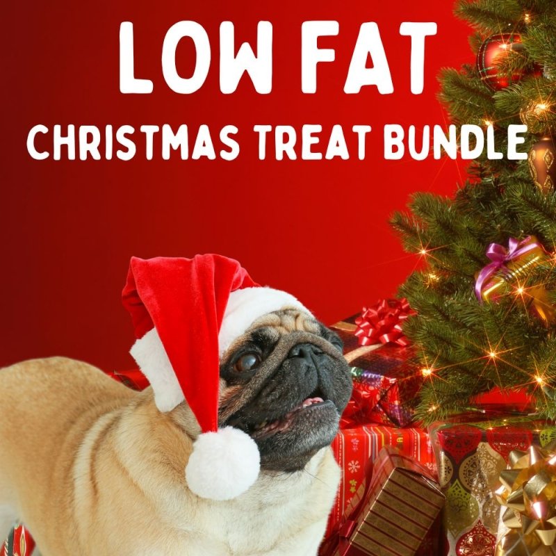 Low Fat Christmas Treat Bundle 🎅🐶🎅 20% Off Normal Price!