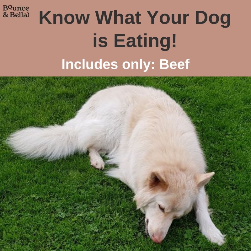 Natural Beef Dog Chews – 100% Pure Beef