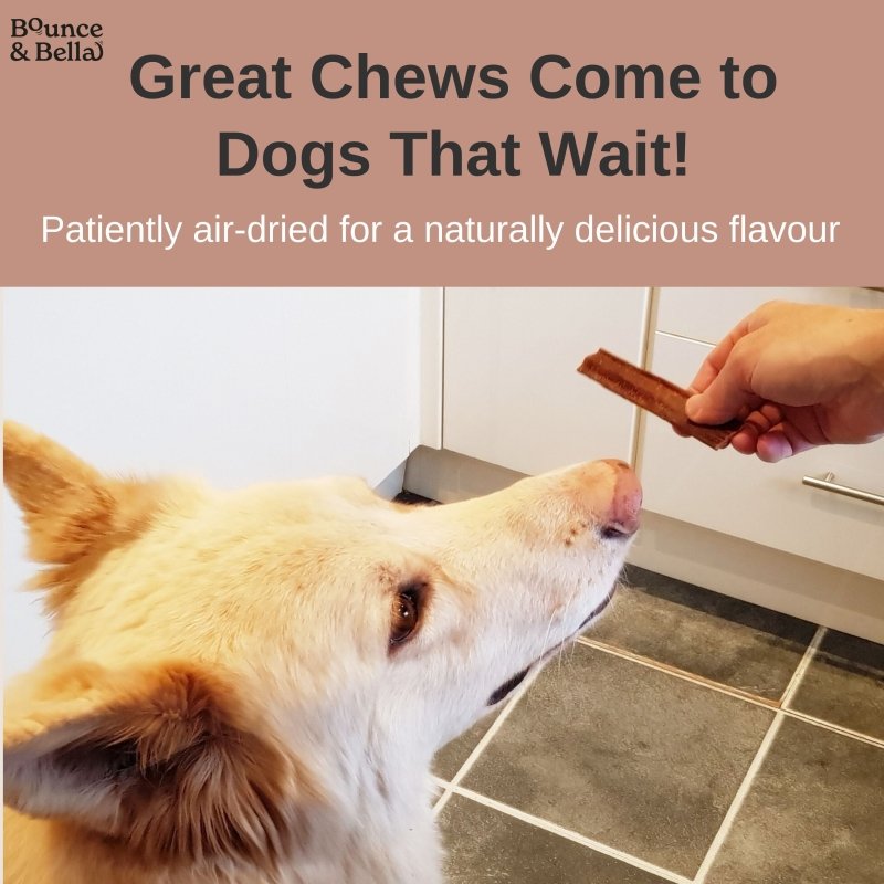 Natural Beef Dog Chews – 100% Pure Beef