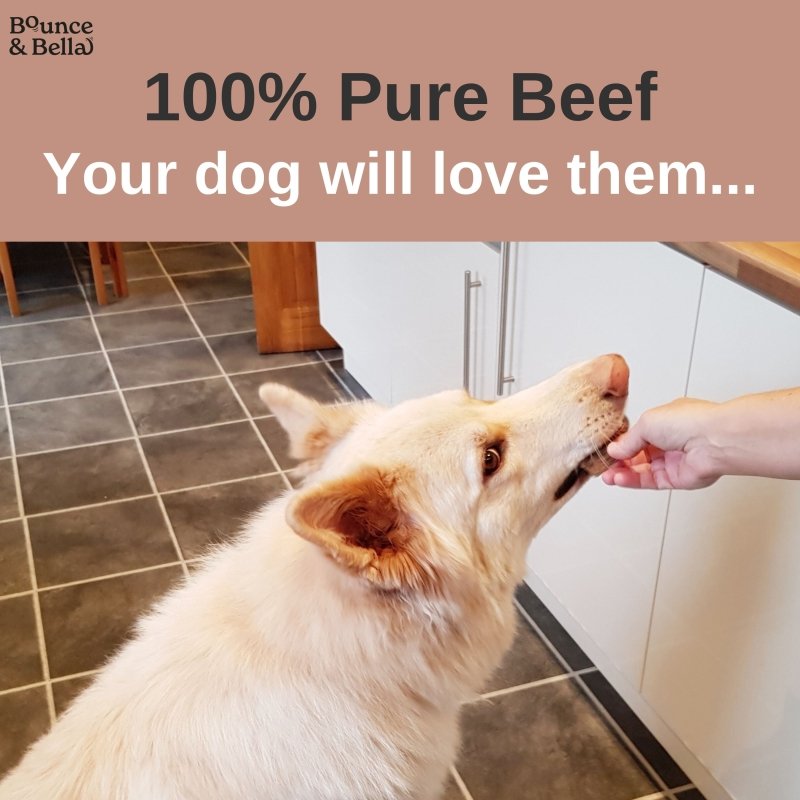 Natural Beef Dog Chews – 100% Pure Beef