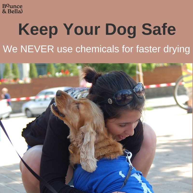 Natural Beef Dog Chews – 100% Pure Beef