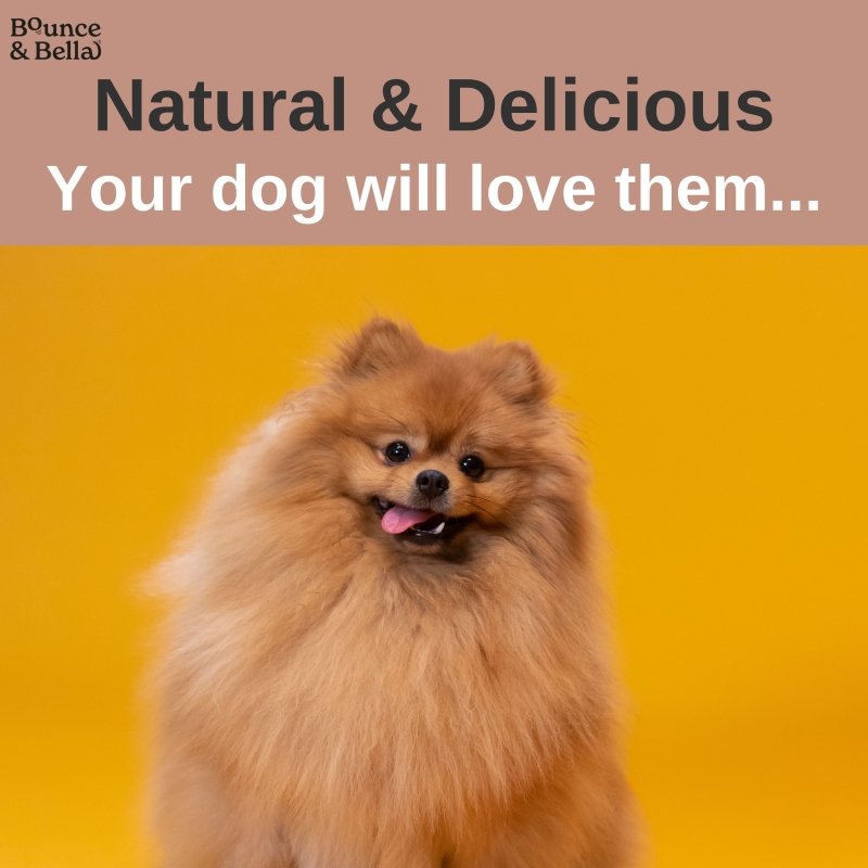 Natural Dog Chews - Chicken, Beef and Pork - Meat Feast Strips