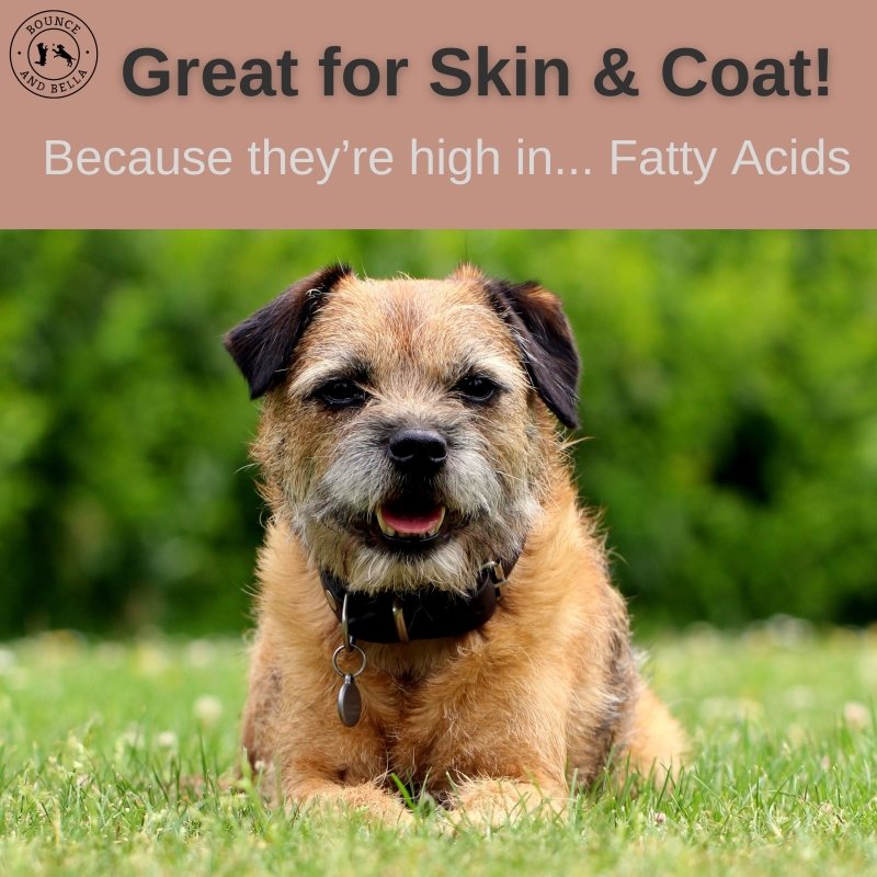 Natural Rabbit Ears with Hair,  Rich in Collagen & Natural Dental Chews (from the Tasting Platter)